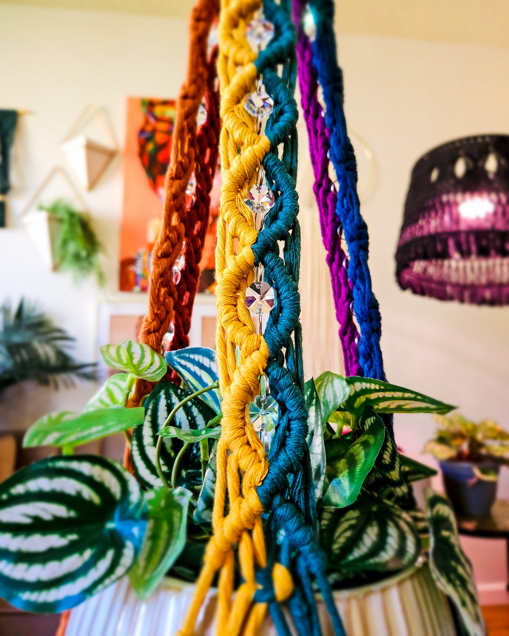 Colorful Plant Hangers