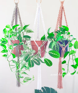 Macrame Plant Hanger - New Colors Added!