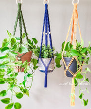 Load image into Gallery viewer, Tassel Free Plant Hanger
