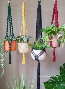 Plant Hangers - Bold
