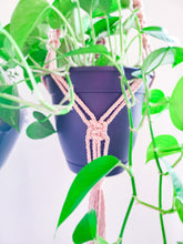 Load image into Gallery viewer, Macrame Plant Hanger - New Colors Added!
