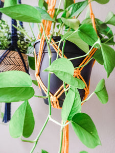 Tassel Free Plant Hanger