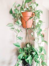 Load image into Gallery viewer, Double Macrame Plant Hanger - more colors
