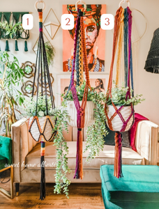 DIY Rainbow Plant Hanger Guide Only